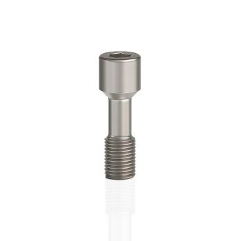 EZ Fit Biohorizon Regular Compatible Titanium Abutment