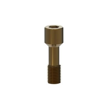 EZ Fit Biohorizon Regular Compatible Colored Titanium AbutmenT