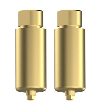 EZ Fit Conical Premill Titanium Abutment Blanks With 2 Screws