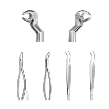 GDC Extraction Forceps Special Wisdom RoutrierGDC Extraction