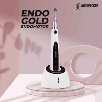 WOODPECKER ENDO GOLD ENDOMOTOR