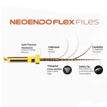 Neo Endo Rotary Flex Files