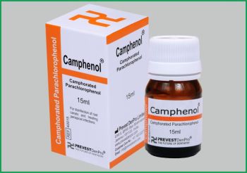Waldent Camphor Mono Chlorophenol (CMCP)