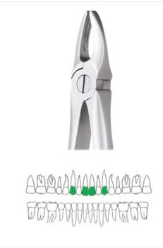 GDC Extraction Forceps Upper Anteriors - 1 Ergonomic (Fx1e)