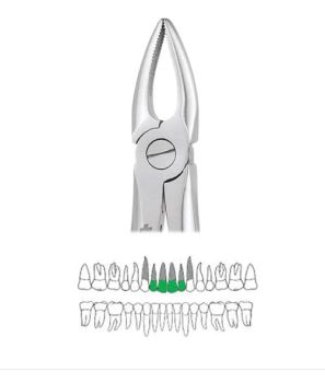 GDC Extraction Forceps Upper Roots - 29 Standard (FX29S)