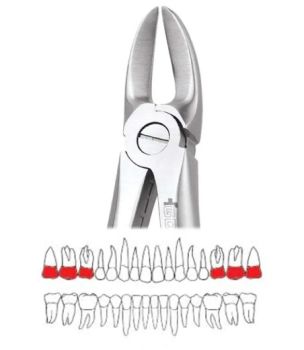 GDC Extraction Forceps Separating Upper Molars - 55 Standard