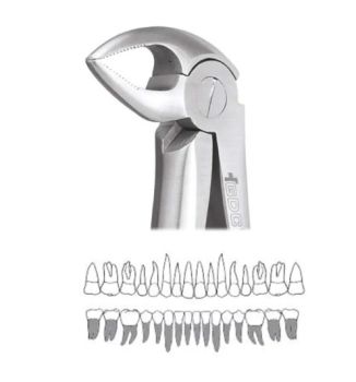 GDC Extraction Forceps Lower Roots - 33 Standard (FX33S)