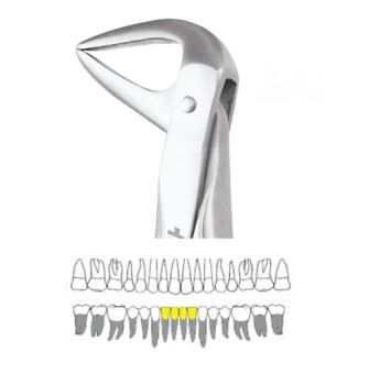 GDC Extraction Forceps Lower Roots - 74n Ergonomic (Fx74ne)