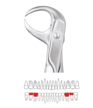 GDC Extraction Forceps Lower Molars - 86 Premium (FX86P)