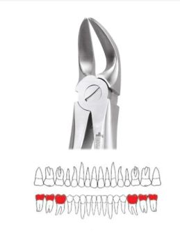 GDC Extraction Forceps Separating Lower Molars - 56 Standard