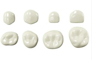 Kids-e-Dental Bioflx Anterior Crown Kits