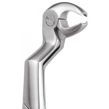 GDC Extraction Forceps Lower Molars And Wisdoms Right - Standard