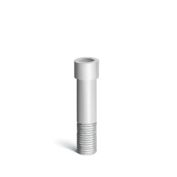 EZ Fit Dentium Compatible Titanium Abutment Screws